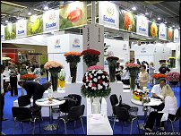 www.floristic.ru - Флористика. Стабилизированные или консервированные растения - аналог искусственных цветов!