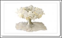 www.floristic.ru - Флористика. Стабилизированные или консервированные растения - аналог искусственных цветов!