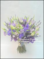 www.floristic.ru - .  (Lavandula)