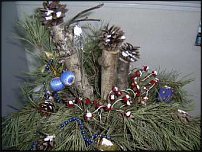 www.floristic.ru - .  .