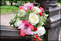 www.floristic.ru - .  - !     .