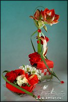 www.floristic.ru - .    -  .