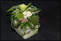 www.floristic.ru - .    -  .