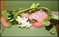 www.floristic.ru - .    -  .