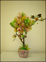 www.floristic.ru - . !!!!!