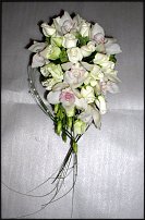 www.floristic.ru - .  .