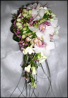 www.floristic.ru - .  .