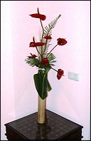 www.floristic.ru - . !!!!!