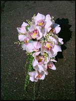 www.floristic.ru - .  .