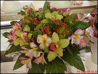 www.floristic.ru - .  .