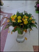 www.floristic.ru - .  .