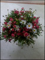 www.floristic.ru - .  .