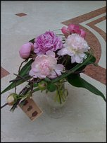 www.floristic.ru - Флористика. Проба пера.