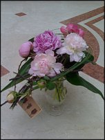 www.floristic.ru - .  .