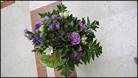 www.floristic.ru - .  .