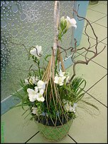 www.floristic.ru - .  .  .     23- 