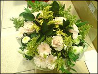 www.floristic.ru - .  .