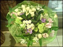 www.floristic.ru - .  .