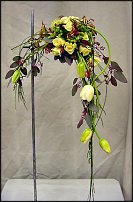 www.floristic.ru - .  .