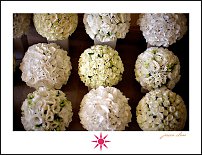 www.floristic.ru - .  - 