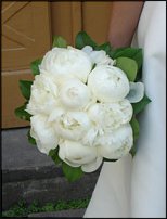 www.floristic.ru - .  