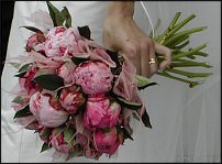 www.floristic.ru - .  