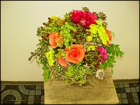 www.floristic.ru - .   