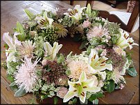 www.floristic.ru - .       - ?