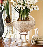 www.floristic.ru - .       - ?