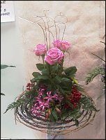 www.floristic.ru - .  .