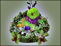 www.floristic.ru - .   ....