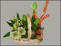 www.floristic.ru - . .   