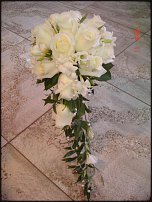 www.floristic.ru - .  .