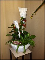 www.floristic.ru - . 