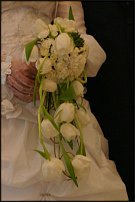 www.floristic.ru - .  .