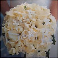 www.floristic.ru - .    