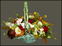 www.floristic.ru - .  .