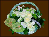 www.floristic.ru - .  .