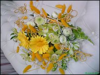 www.floristic.ru - .   