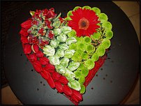 www.floristic.ru - .   