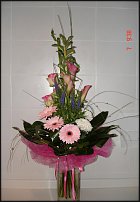 www.floristic.ru - .  