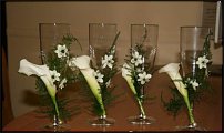 www.floristic.ru - .  .