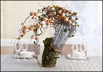 www.floristic.ru - .       - ?