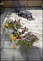 www.floristic.ru - .       - ?