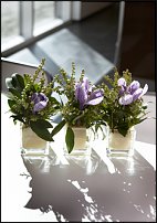 www.floristic.ru - .       - ?