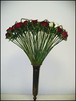 www.floristic.ru - Флористика. Использование хвоща