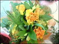 www.floristic.ru - .  .