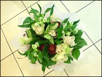 www.floristic.ru - .  .