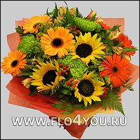 www.floristic.ru - . 