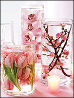 www.floristic.ru - .  .